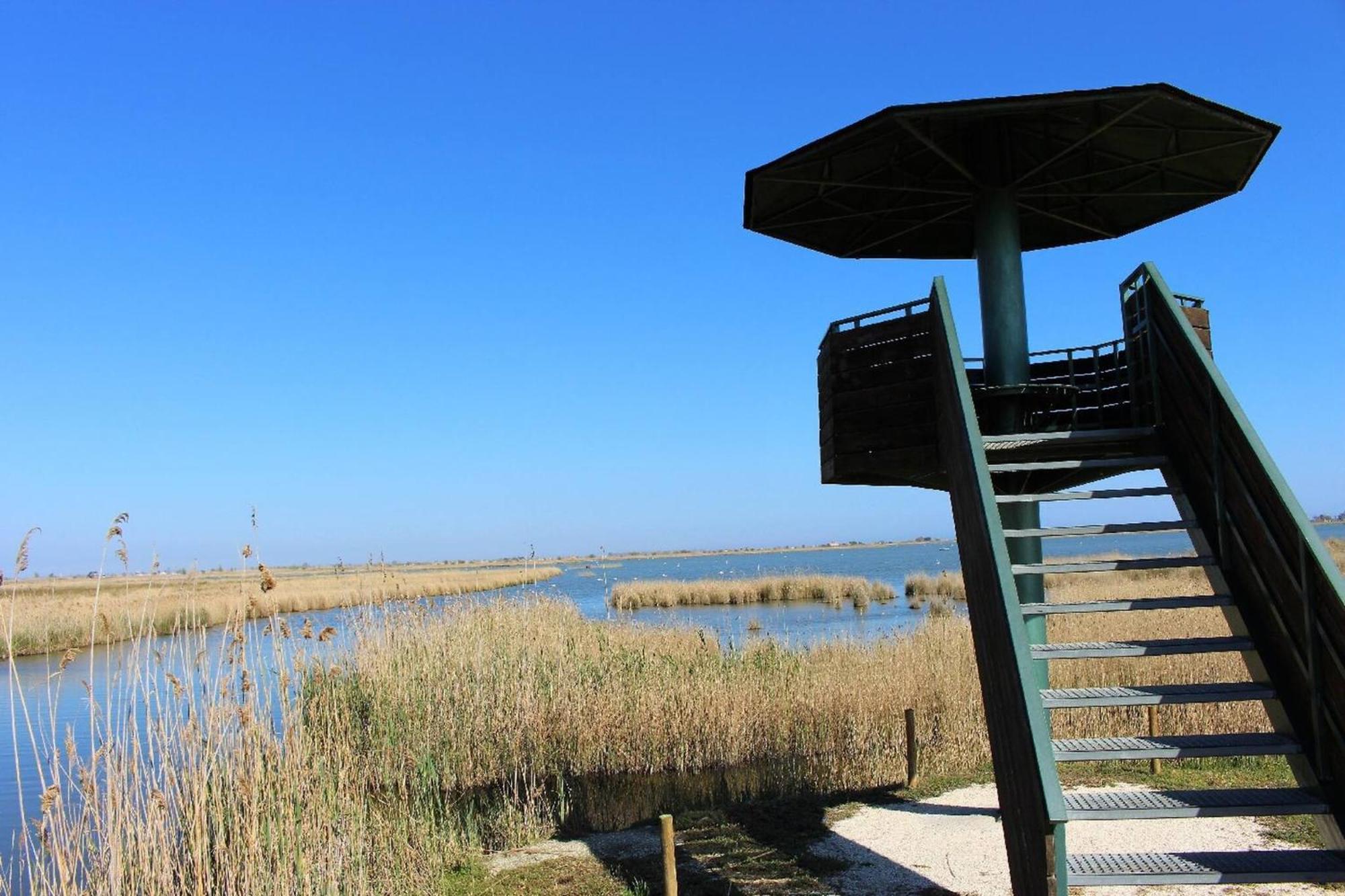 Quet - Casa Rural Con Piscina Privada En El Delta Del Ebro - Deltavacaciones デルテブレ エクステリア 写真